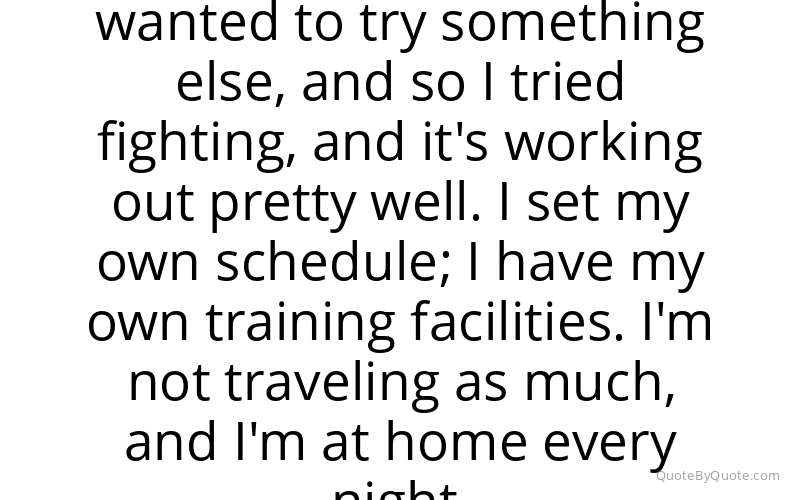 Preview image for this quote by Brock Lesnar