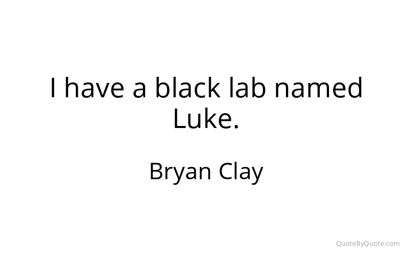 Preview image for this quote by Bryan Clay
