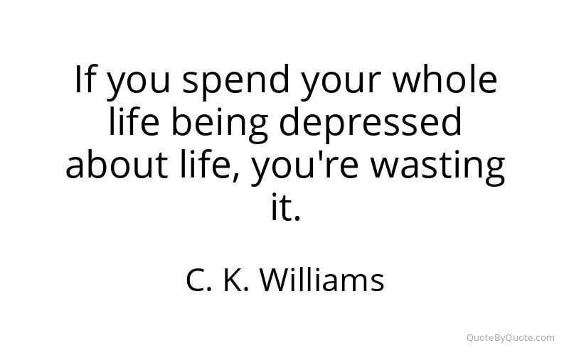 Preview image for this quote by C. K. Williams