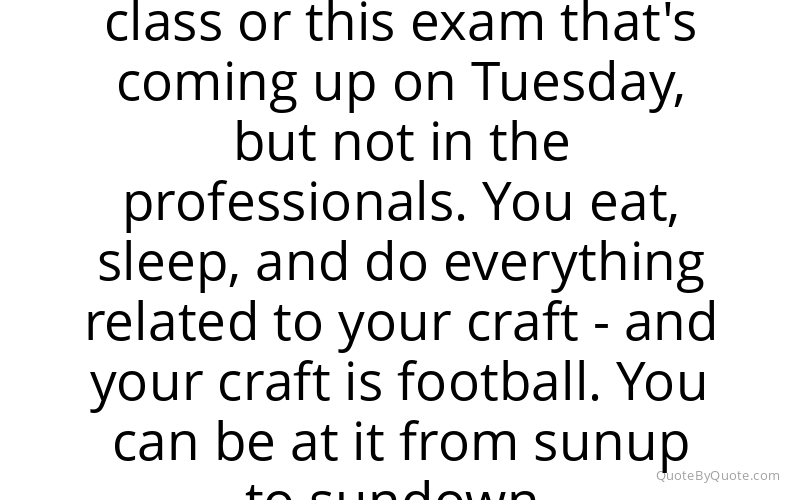 Preview image for this quote by Cam Newton