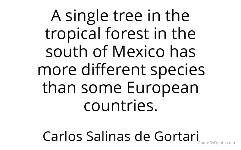 Preview image for this quote by Carlos Salinas de Gortari
