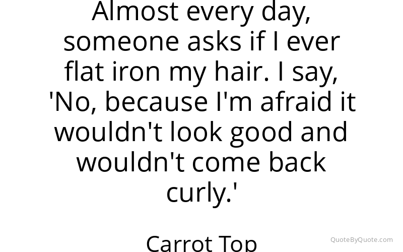 Preview image for this quote by Carrot Top