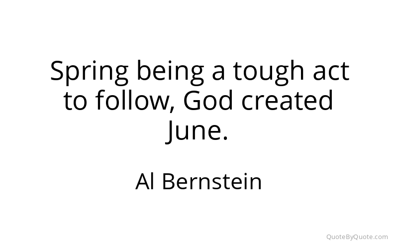 Preview image for this quote by Al Bernstein