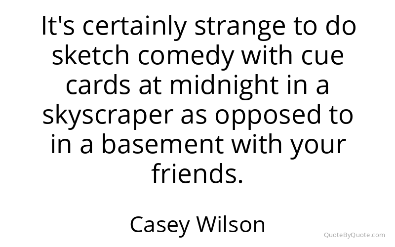 Preview image for this quote by Casey Wilson