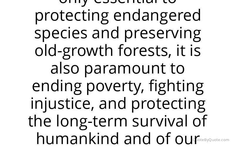 Preview image for this quote by Catherine Cortez-Masto