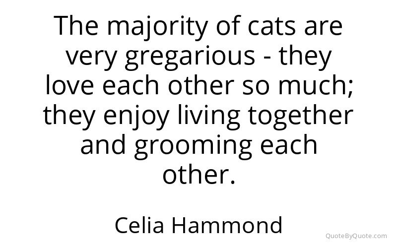 Preview image for this quote by Celia Hammond