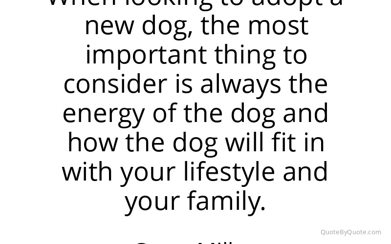 Preview image for this quote by Cesar Millan