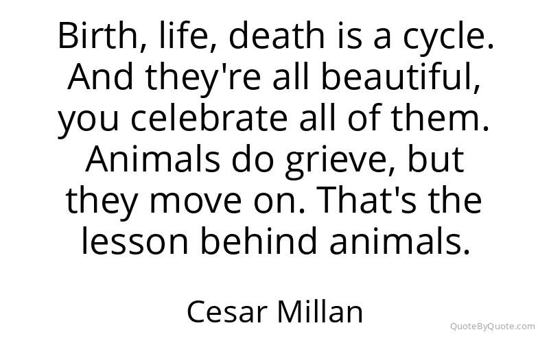 Preview image for this quote by Cesar Millan