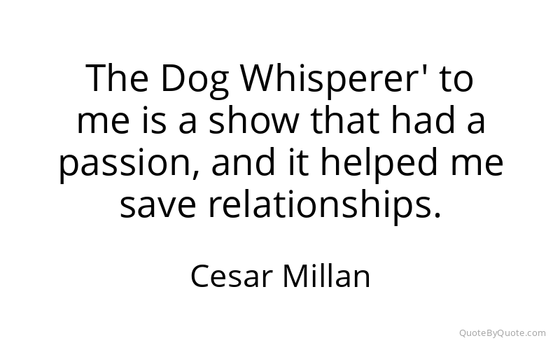 Preview image for this quote by Cesar Millan