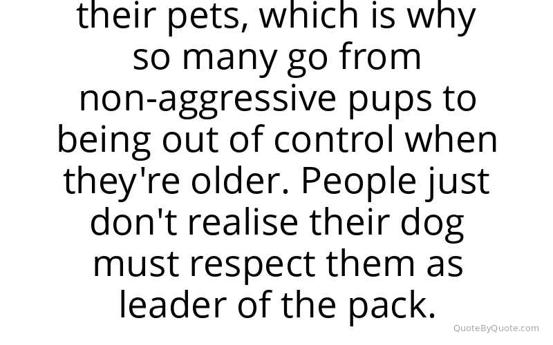 Preview image for this quote by Cesar Millan