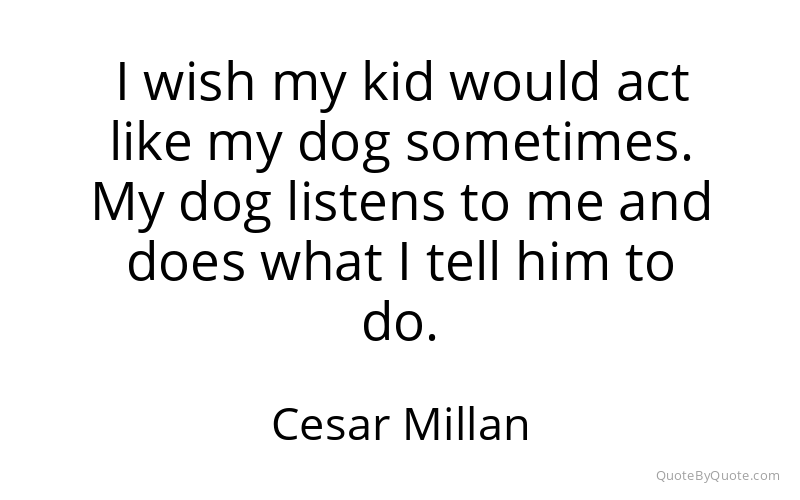 Preview image for this quote by Cesar Millan