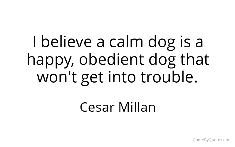 Preview image for this quote by Cesar Millan