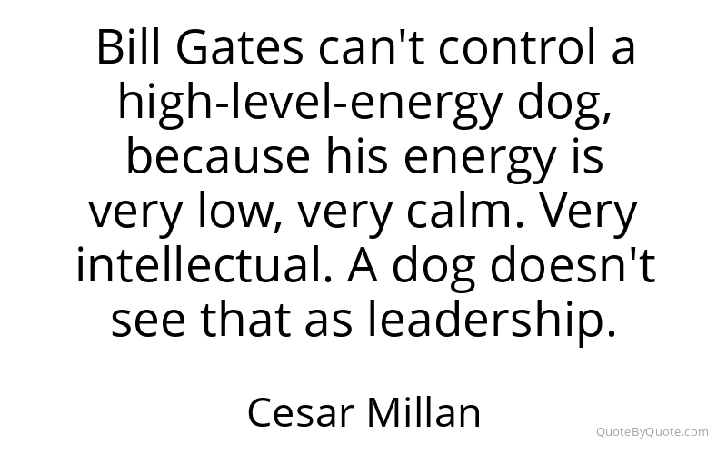 Preview image for this quote by Cesar Millan