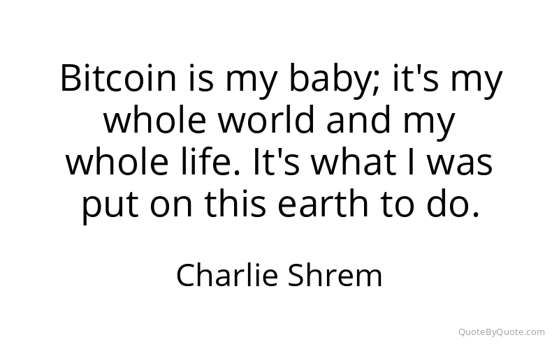 Preview image for this quote by Charlie Shrem
