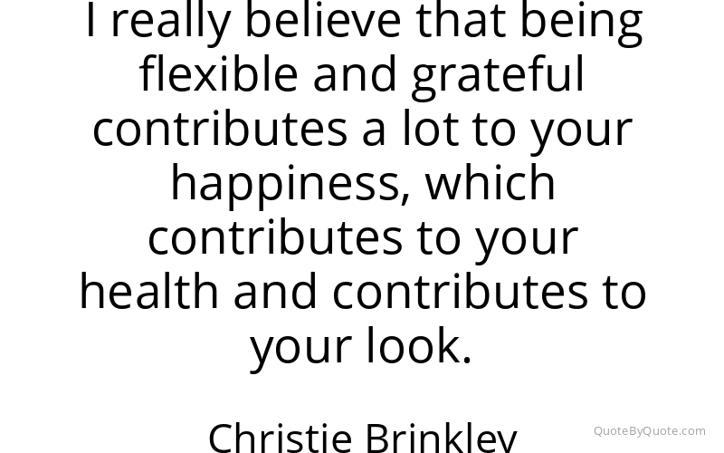 Preview image for this quote by Christie Brinkley