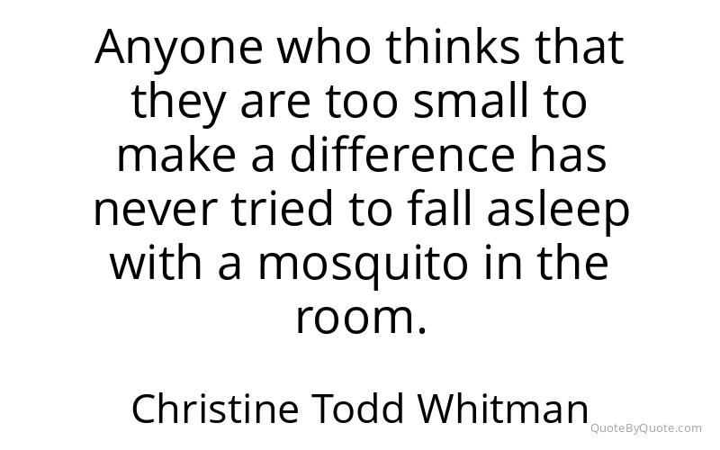 Preview image for this quote by Christine Todd Whitman