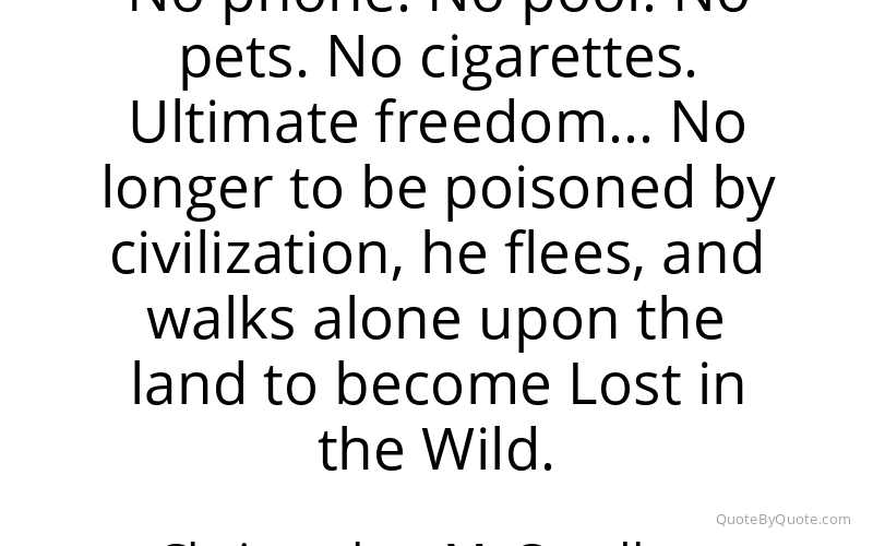 Preview image for this quote by Christopher McCandless