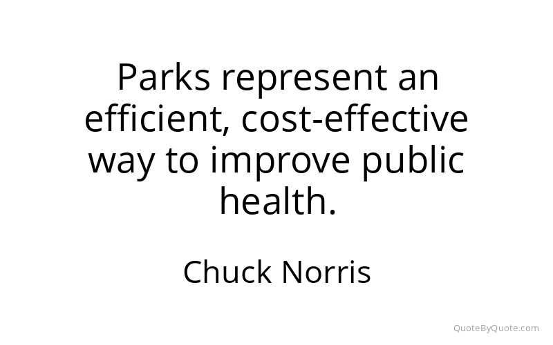 Preview image for this quote by Chuck Norris