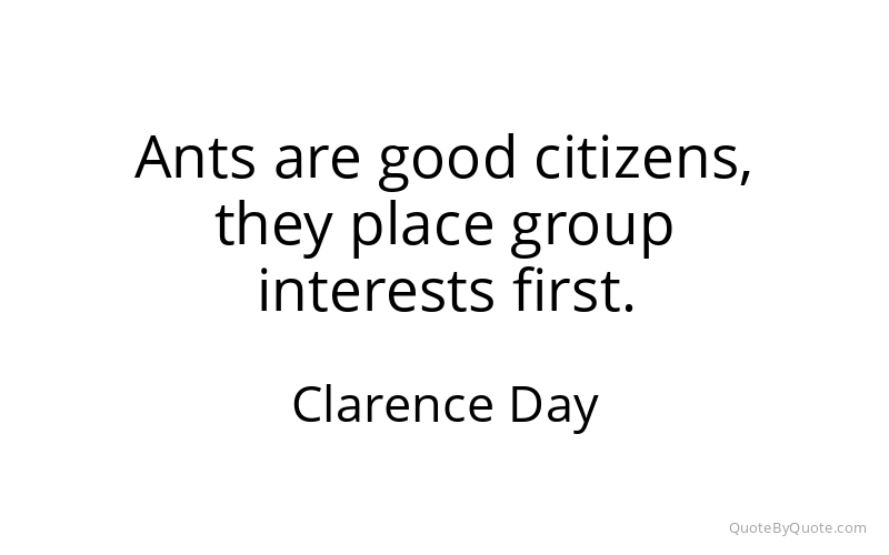 Preview image for this quote by Clarence Day